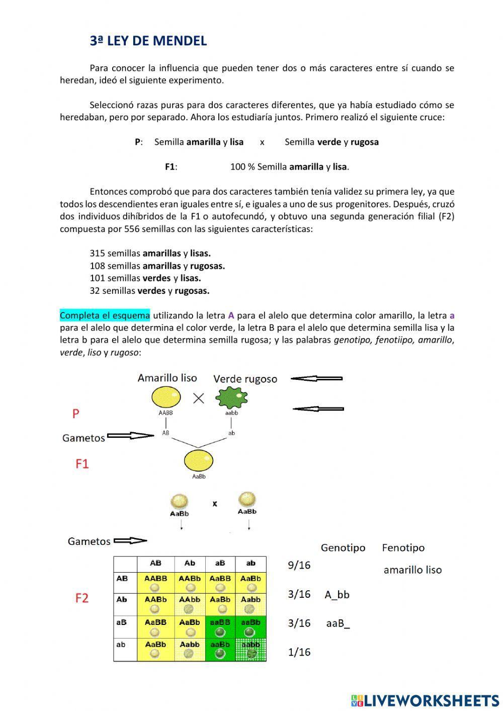 Conceptos de genética y LEYES DE MENDEL