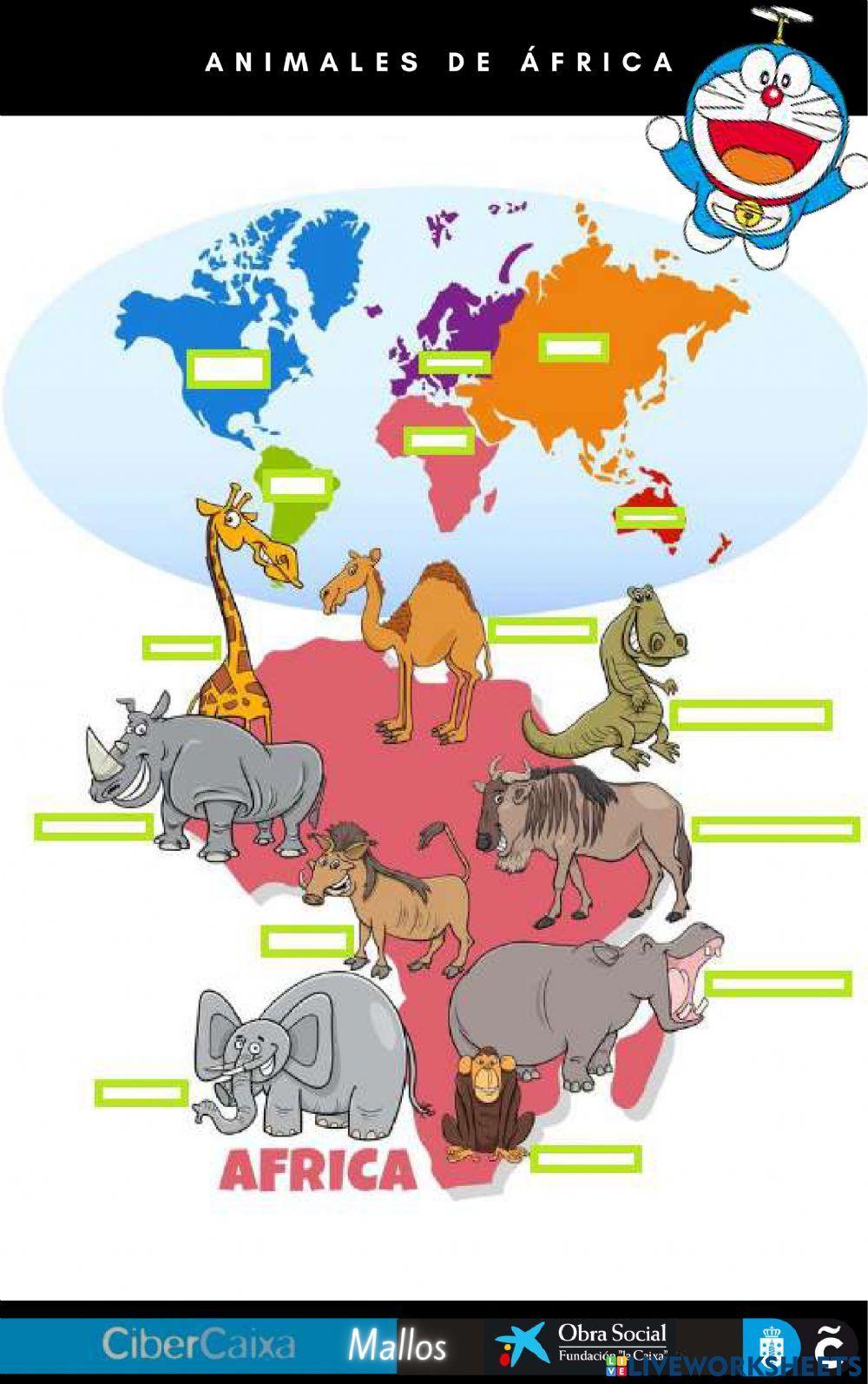 Continentes y animales