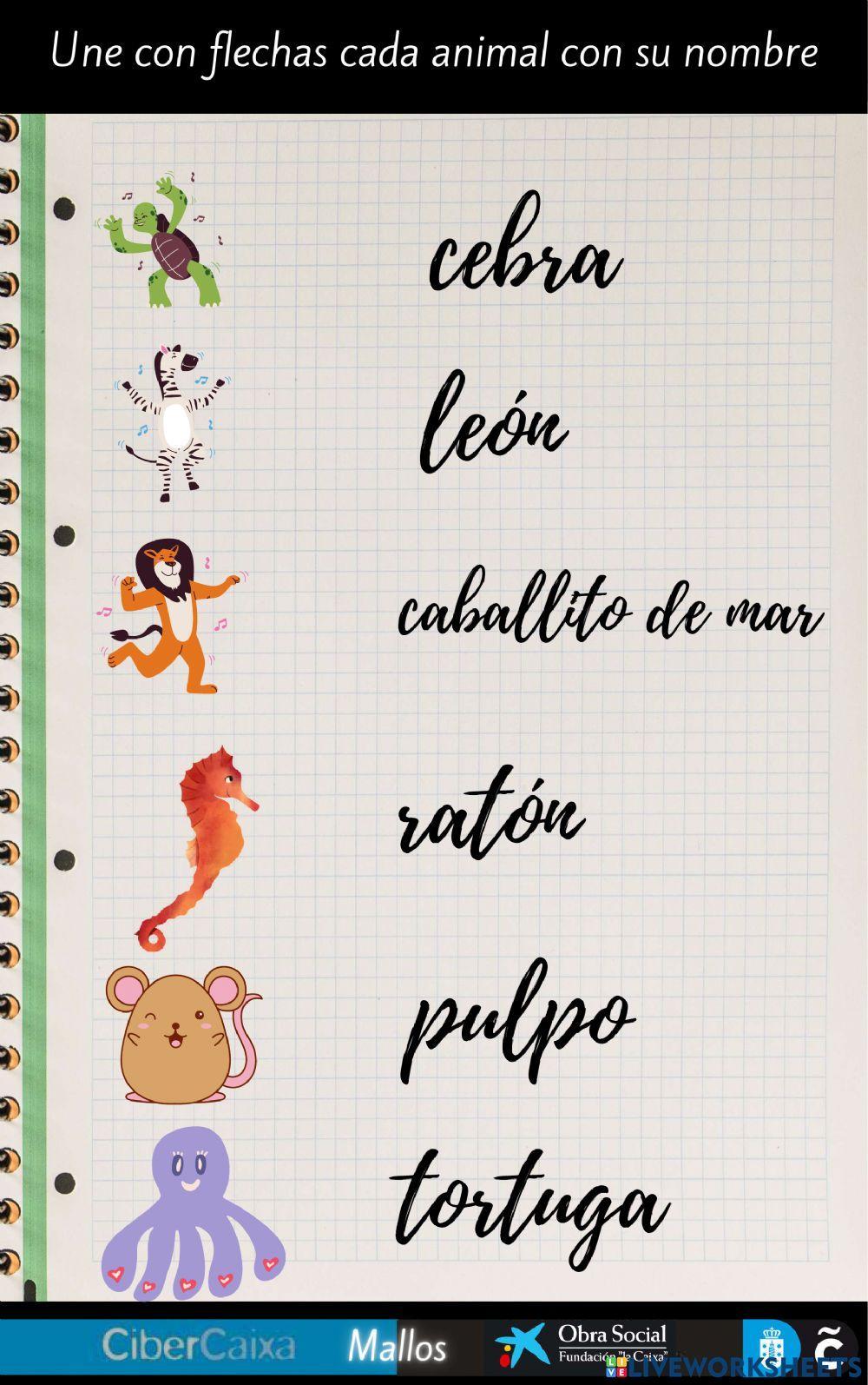 Continentes y animales