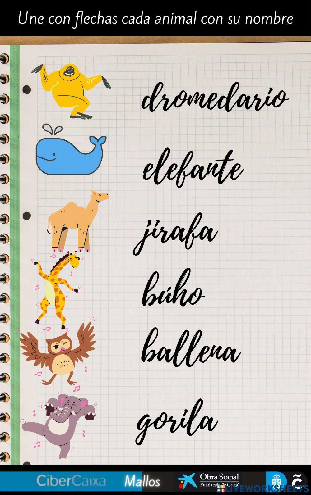 Continentes y animales