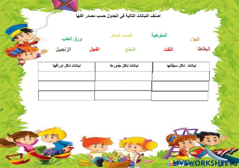 اجزاء النبات