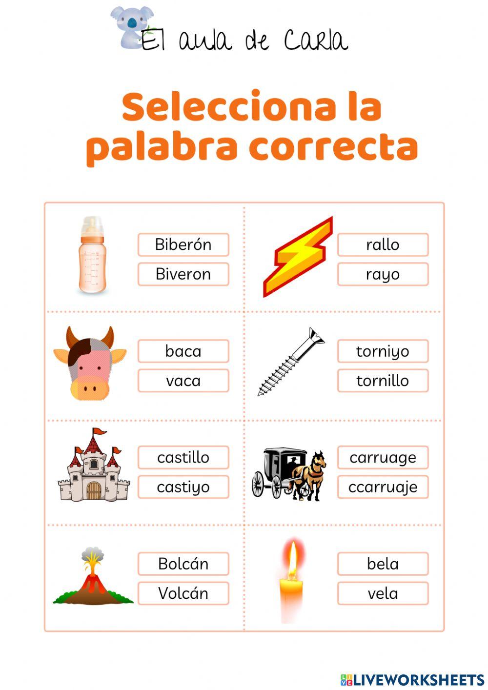 La palabra correcta