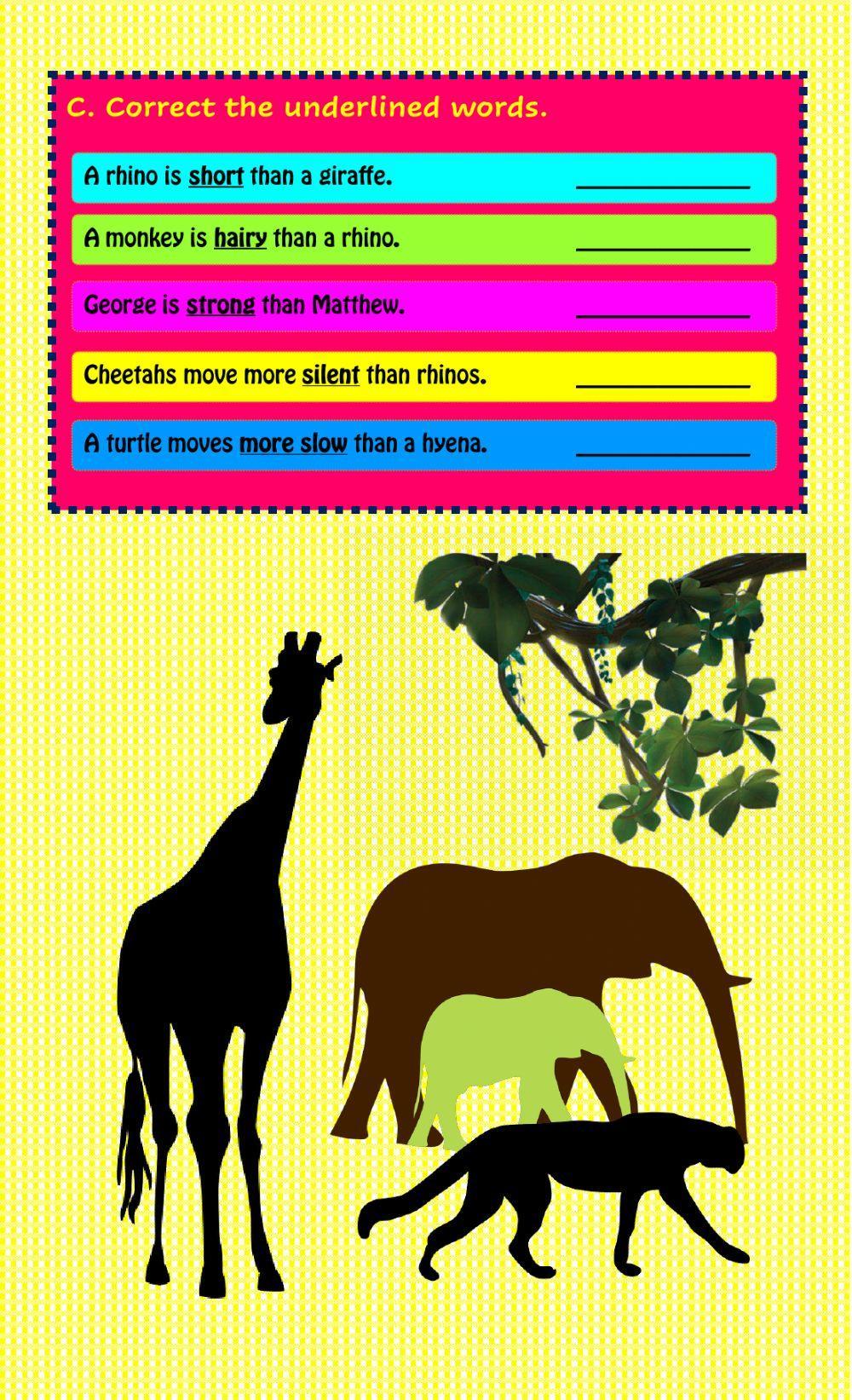 Amazing Safari Animals