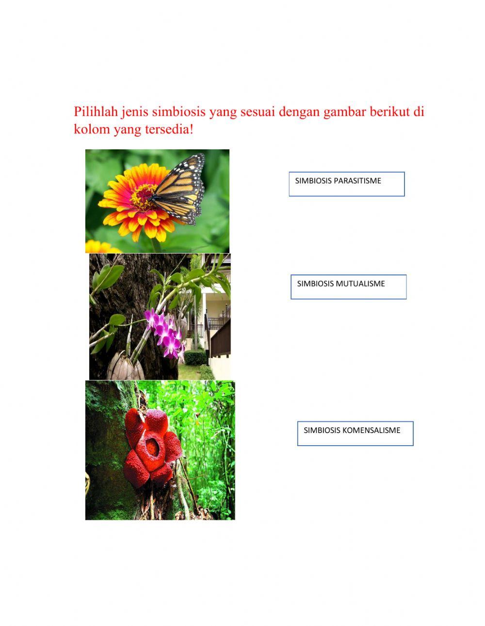 Interaksi makhluk hidup