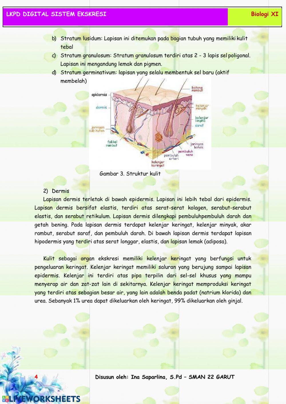Lkpd sistem ekskresi