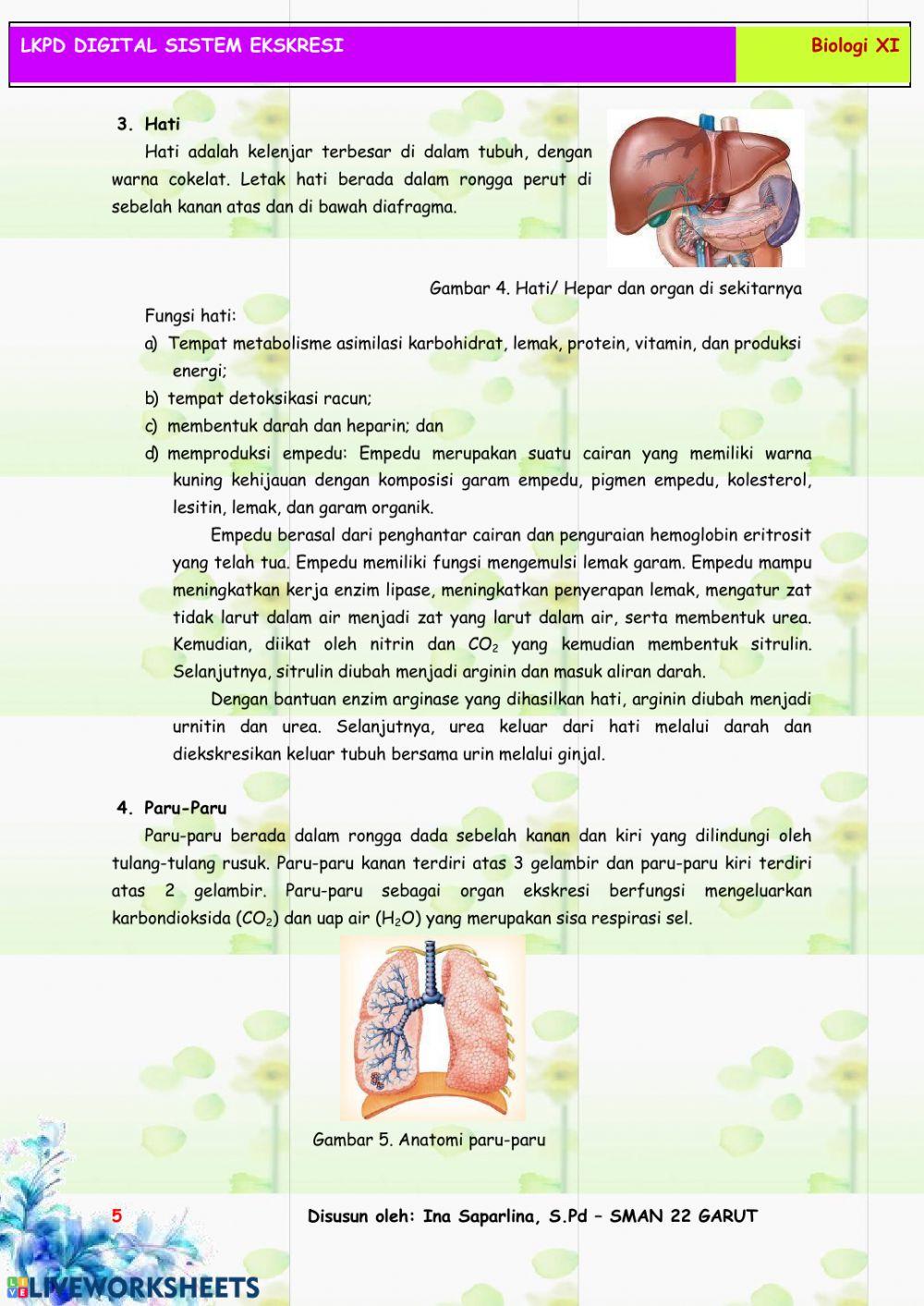 Lkpd sistem ekskresi