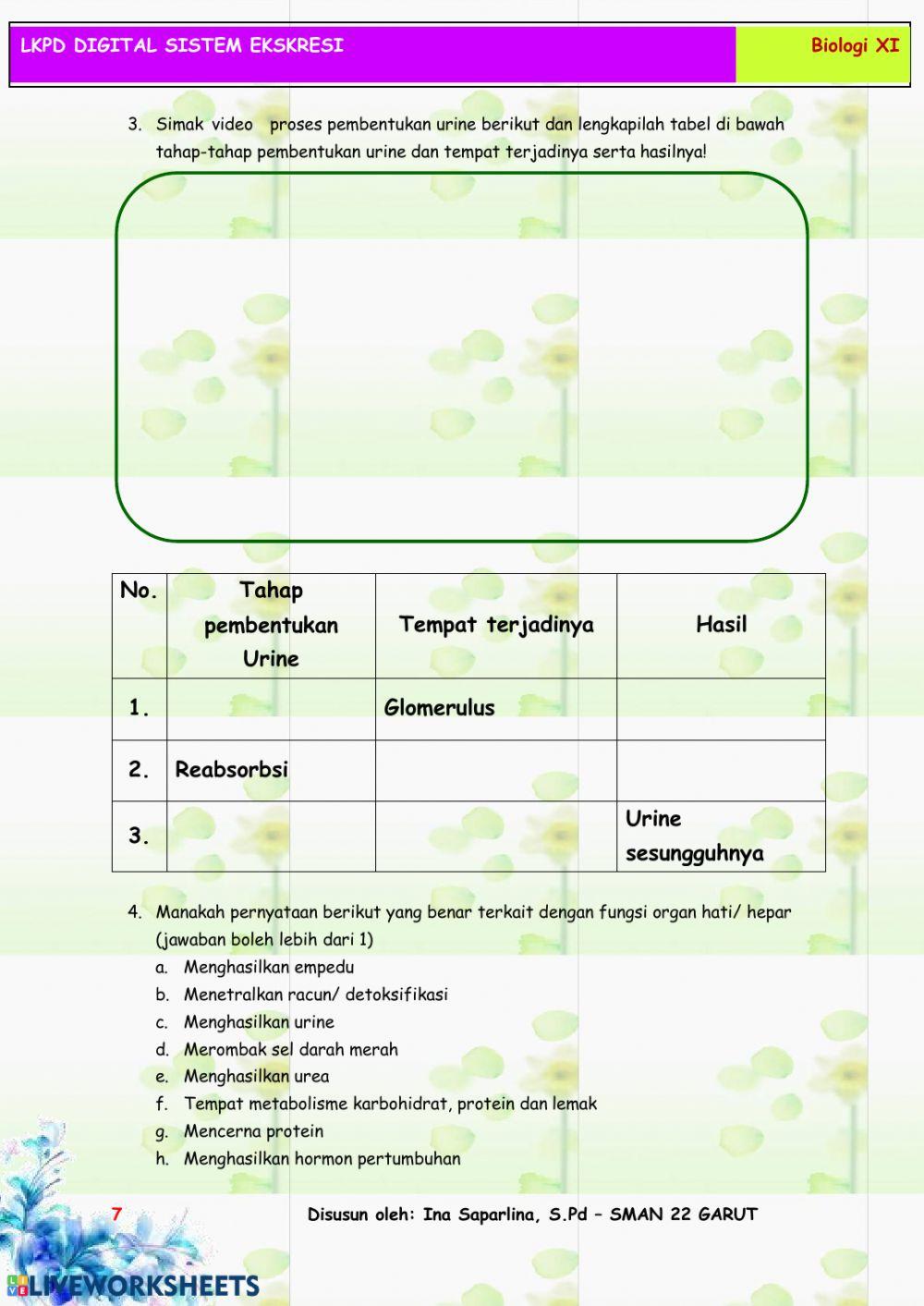 Lkpd sistem ekskresi