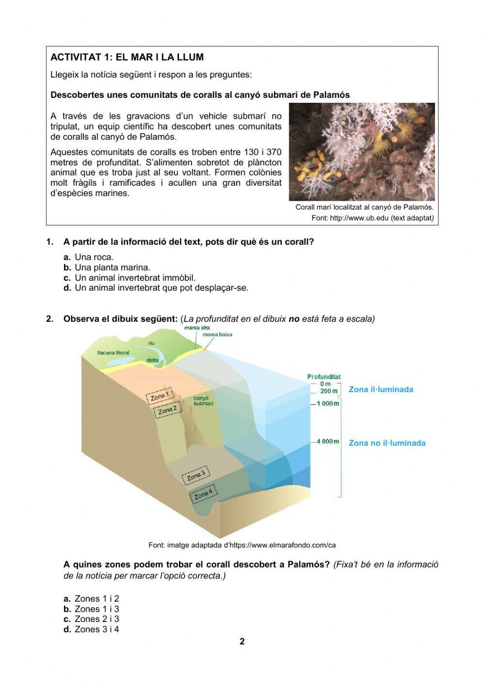 Competències Bàsiques 6è Medi model orientatiu