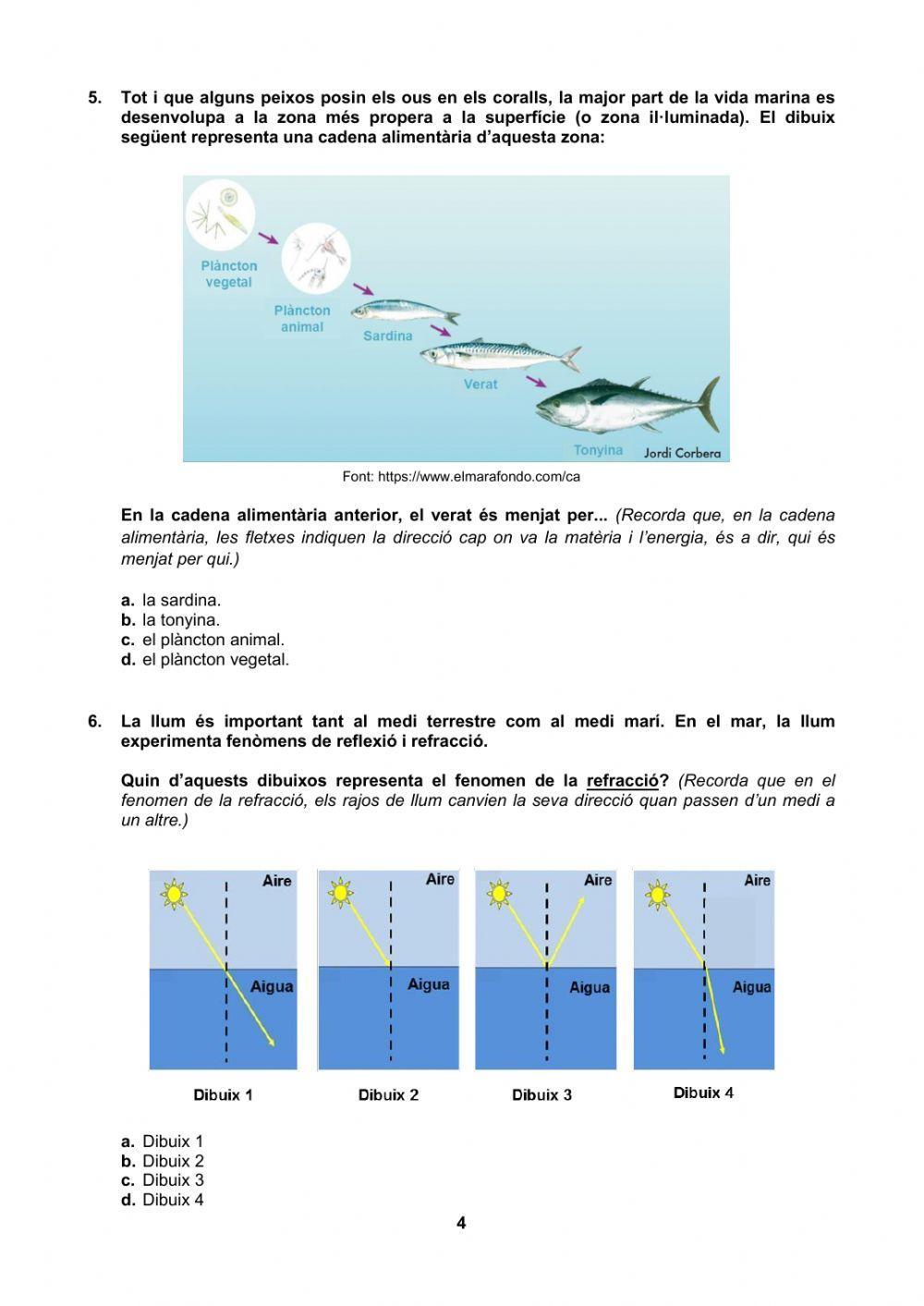 Competències Bàsiques 6è Medi model orientatiu