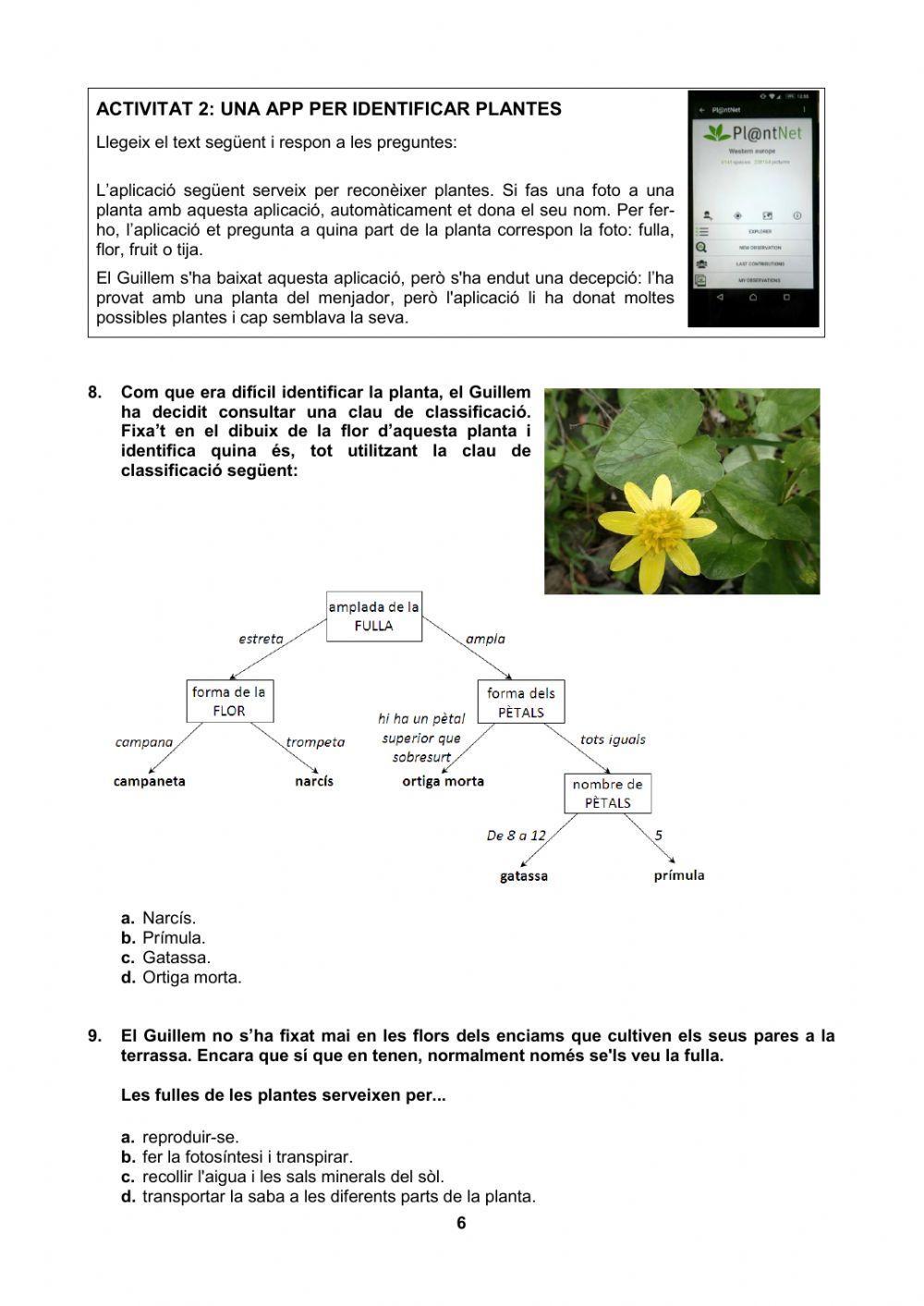 Competències Bàsiques 6è Medi model orientatiu