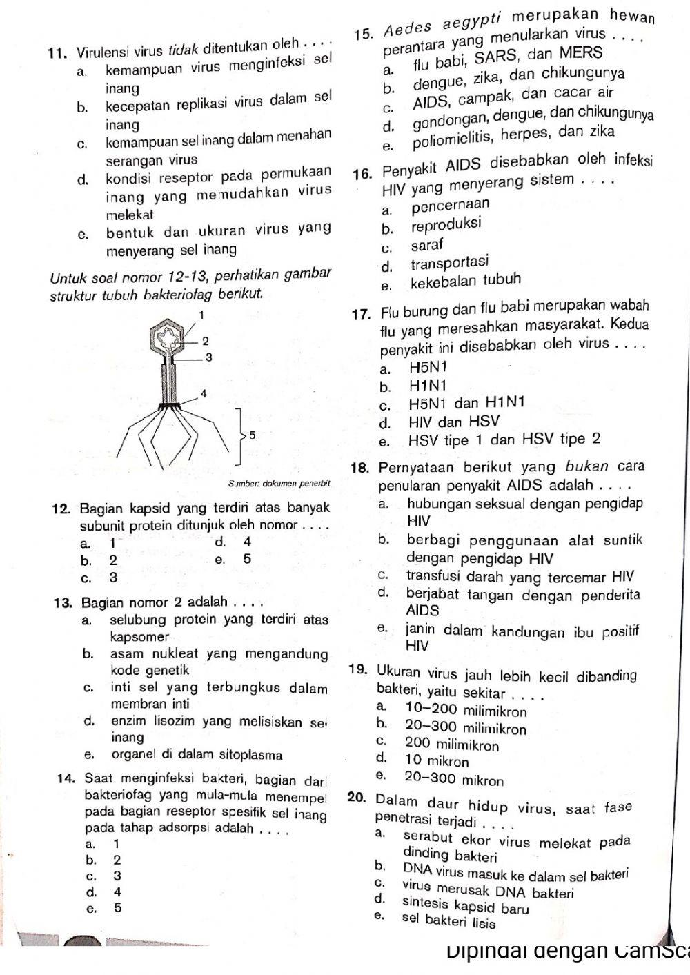 Ulangan harian 1 Virus