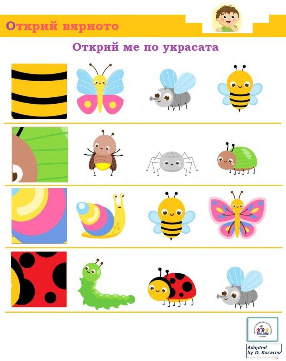 Открий ме по украсата