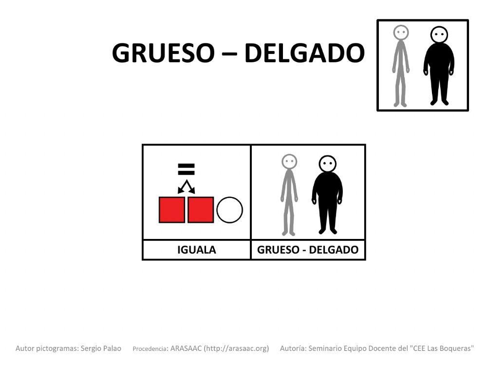 Material Teacch concepto grueso-delgado