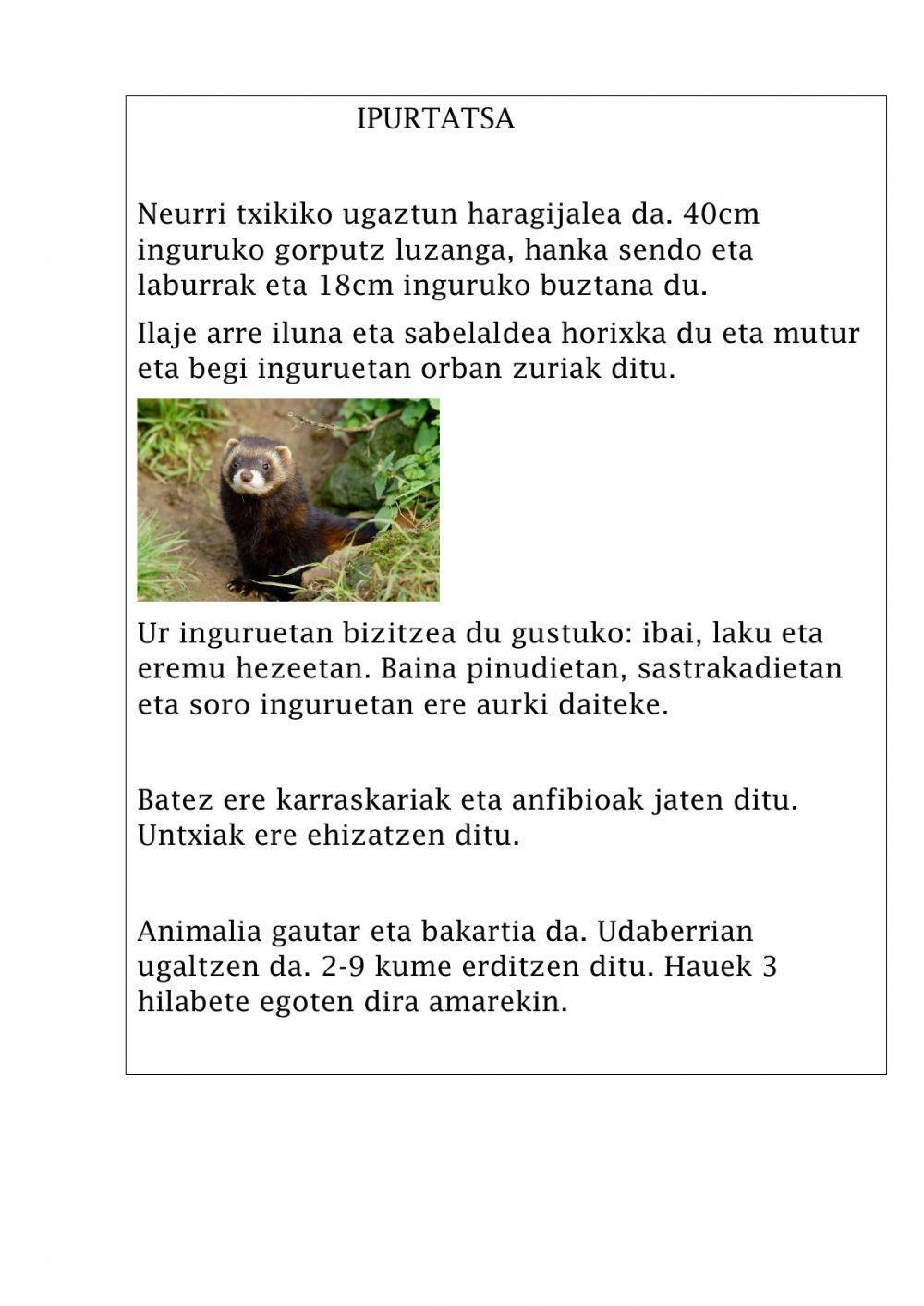 IKASTEN IKASI-IPURTATSA, AGENDA, SARRERA