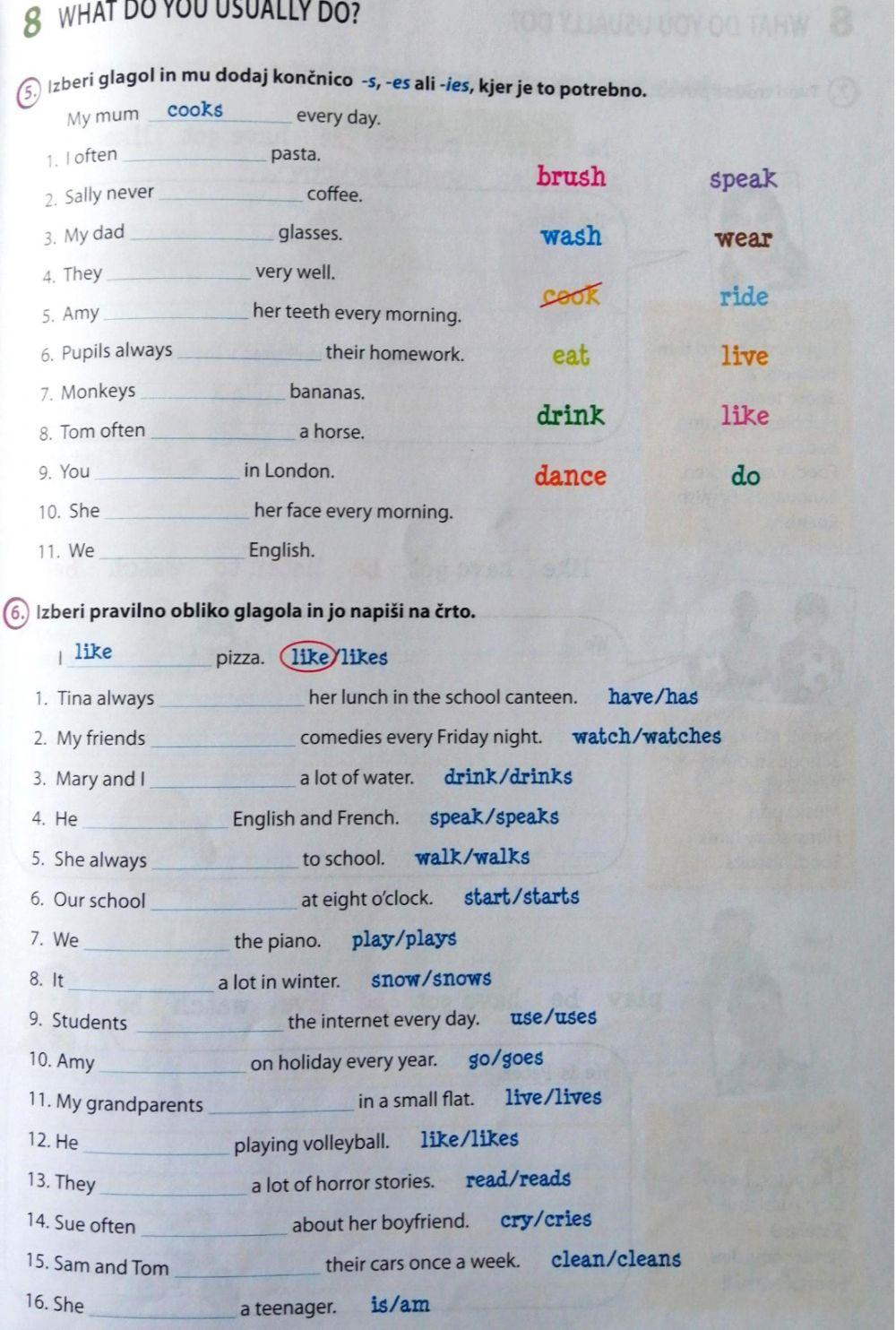 Present simple-affirmative