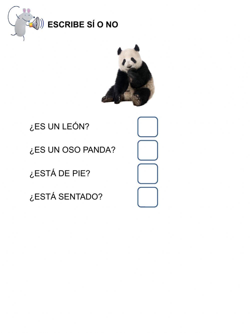 Artículos frases elegir ordenar D