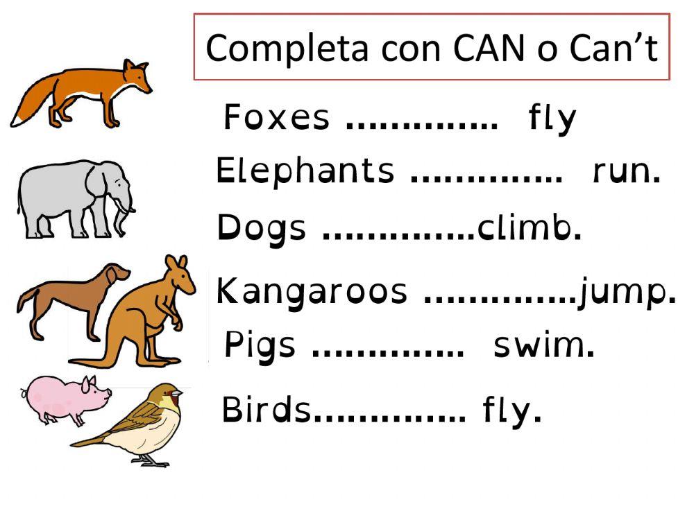 Animals can and can't do