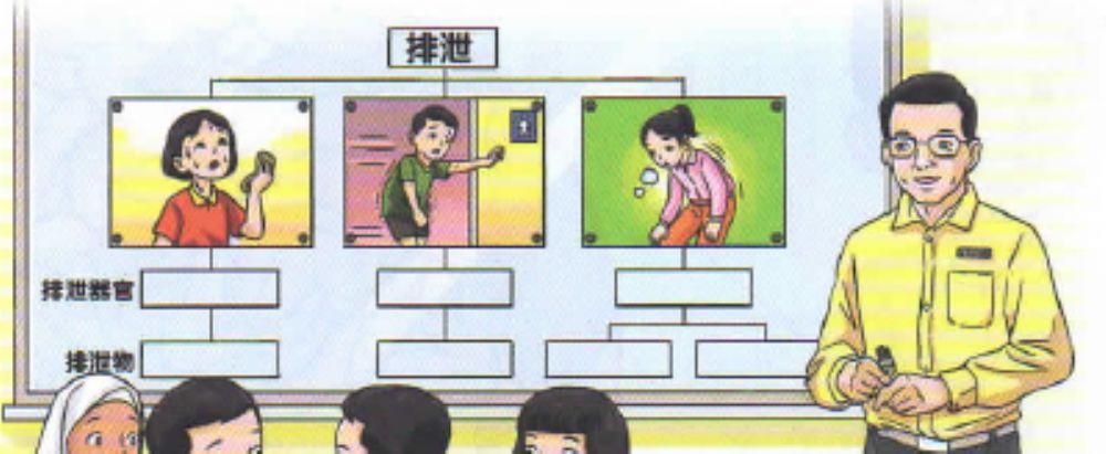 四年级科学-排泄