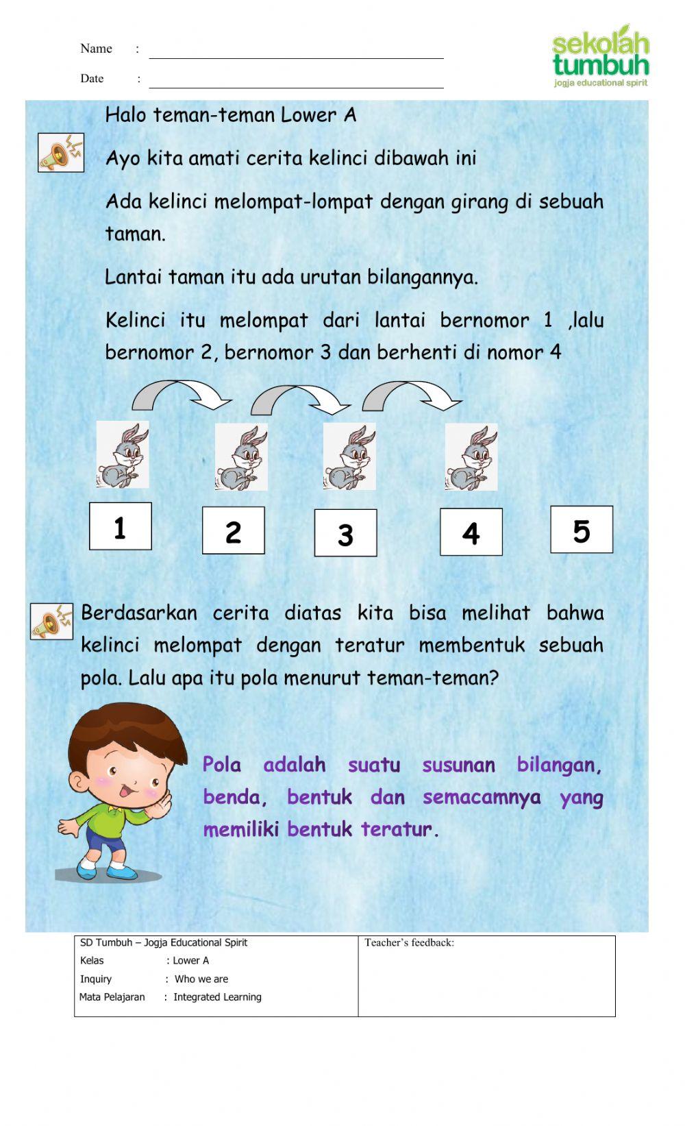 Pola bilangan-satuan