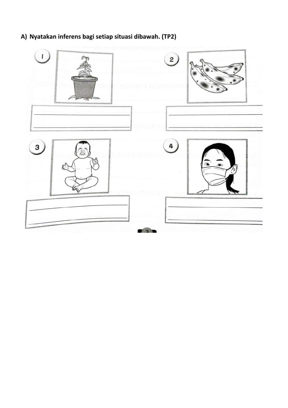 Sains tahun 3 : kemahiran saintifik (membuat inferens)