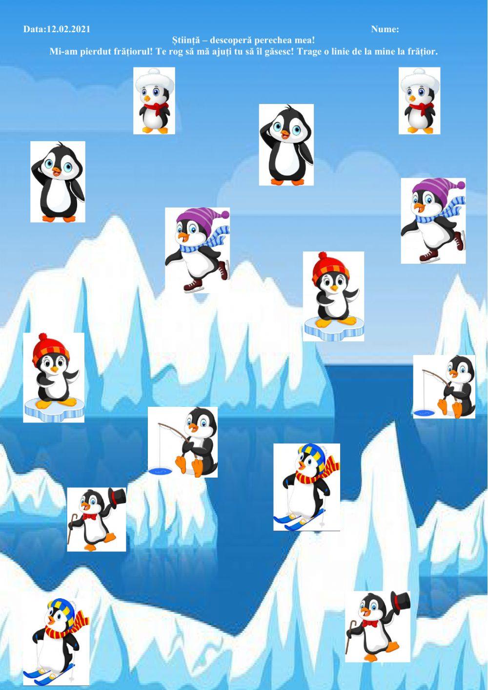 Știință - Pinguini - perechi asemănătoare