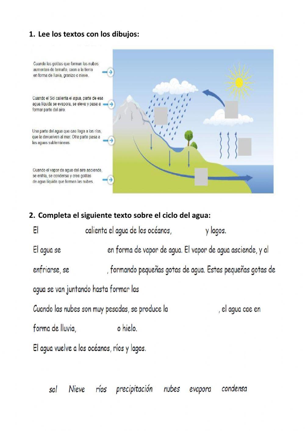 El ciclo del agua