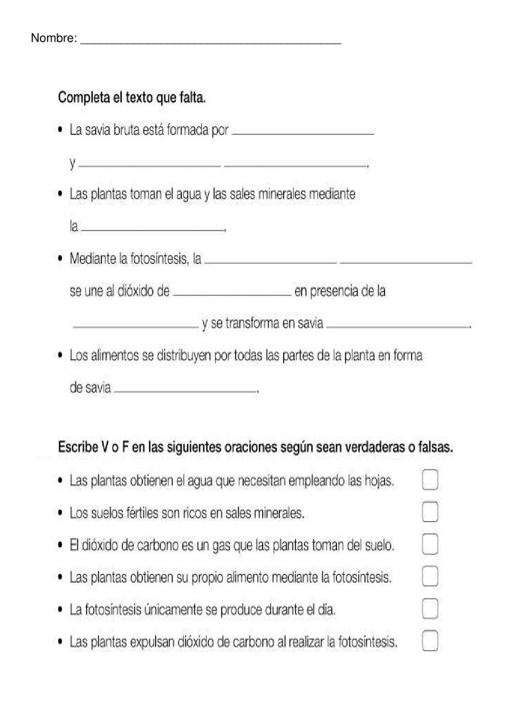 Las plantas y sus funciones vitales