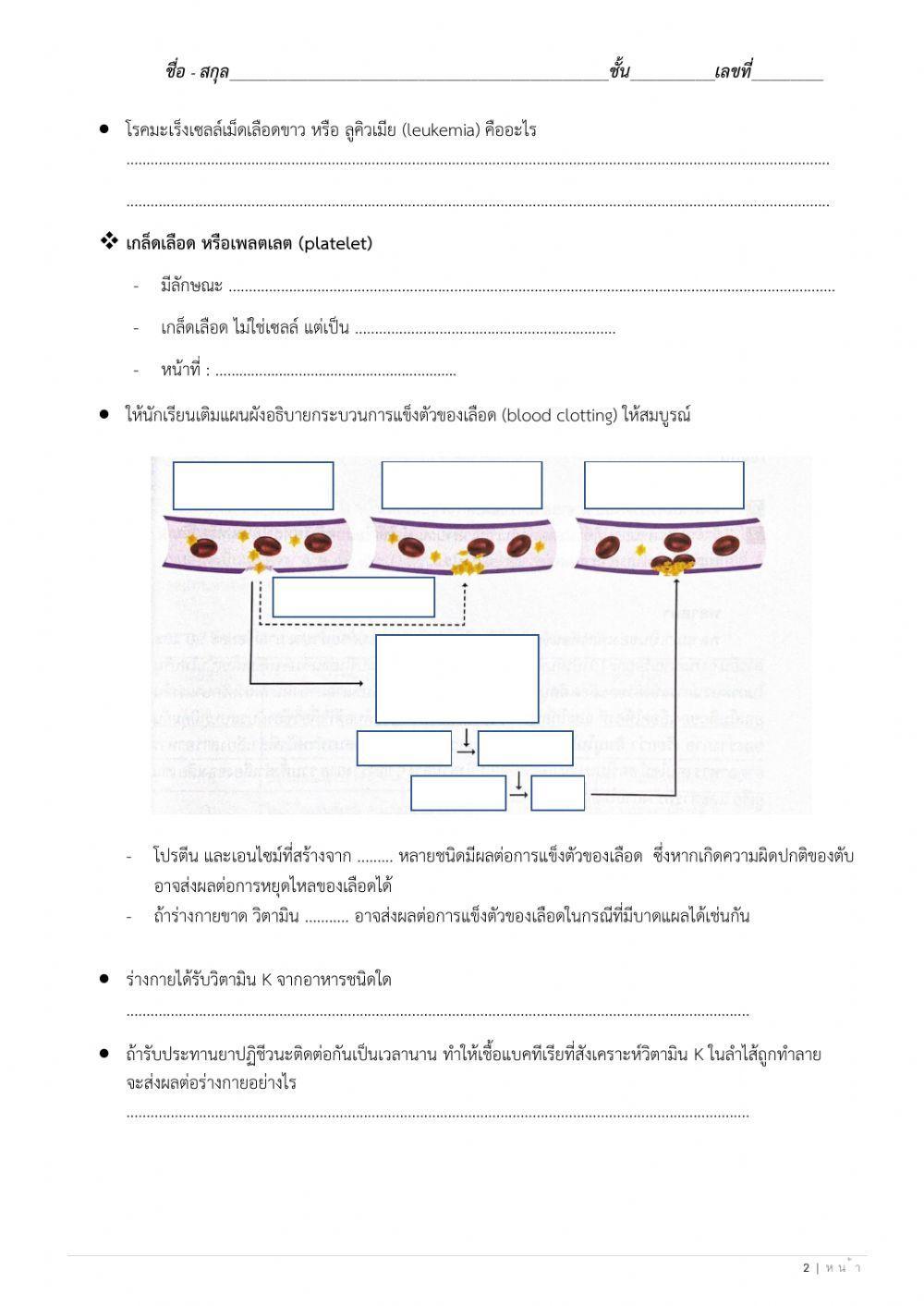 ใบงานที่ 8 เลือด หมู่เลือด