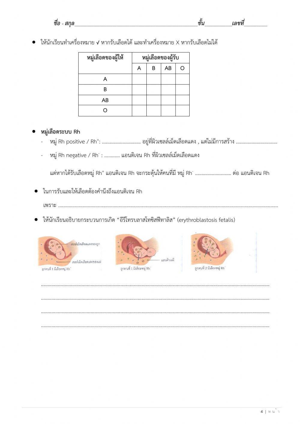 ใบงานที่ 8 เลือด หมู่เลือด