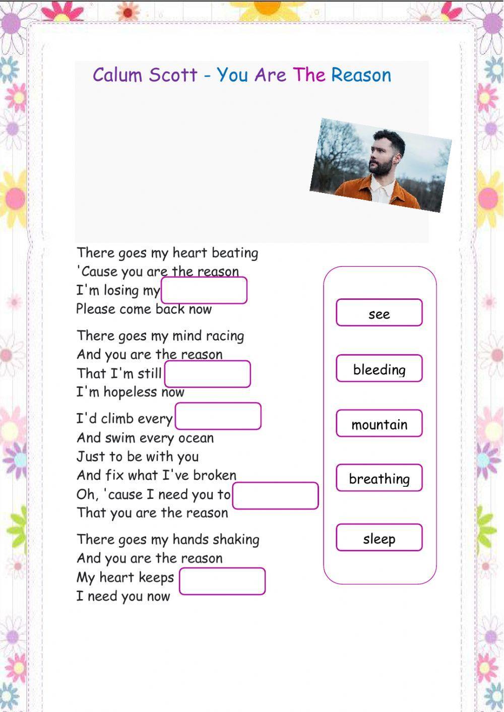 -You Are The Reason-  Calum Scott