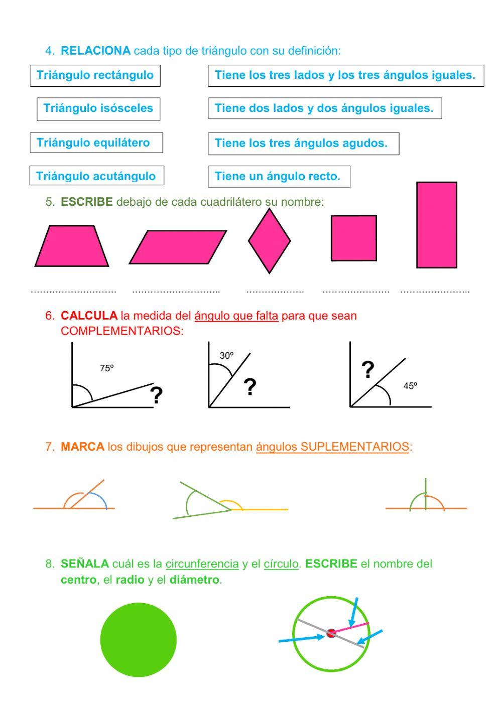 Rectas, polígonos y cincunferencia