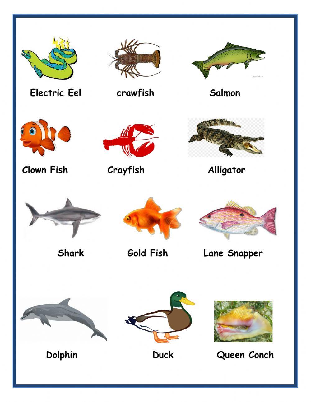 Water habitats Water habitats