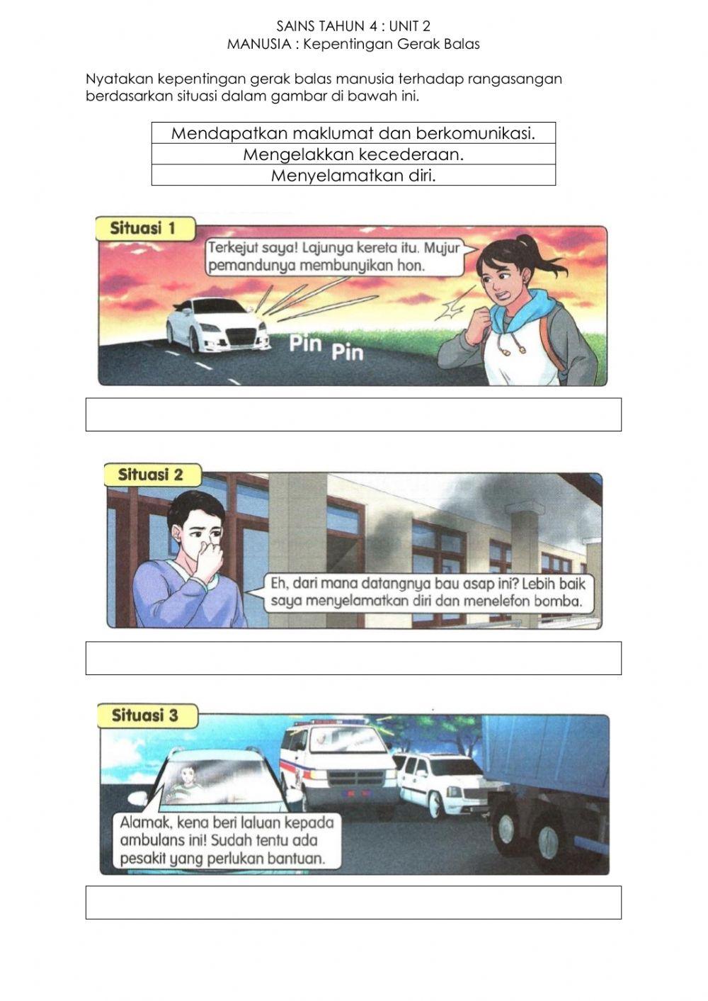 Sains tahun 4 gerak balas terhadap rangsangan