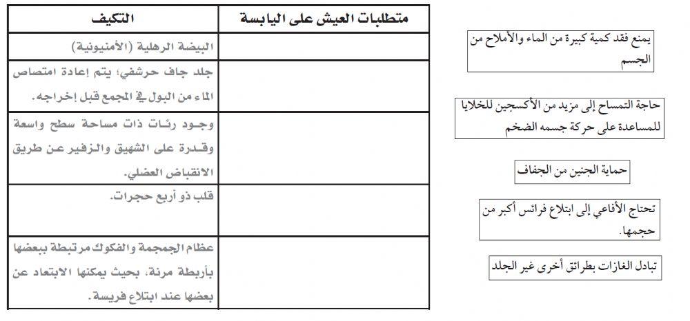 خصائص الزواحف
