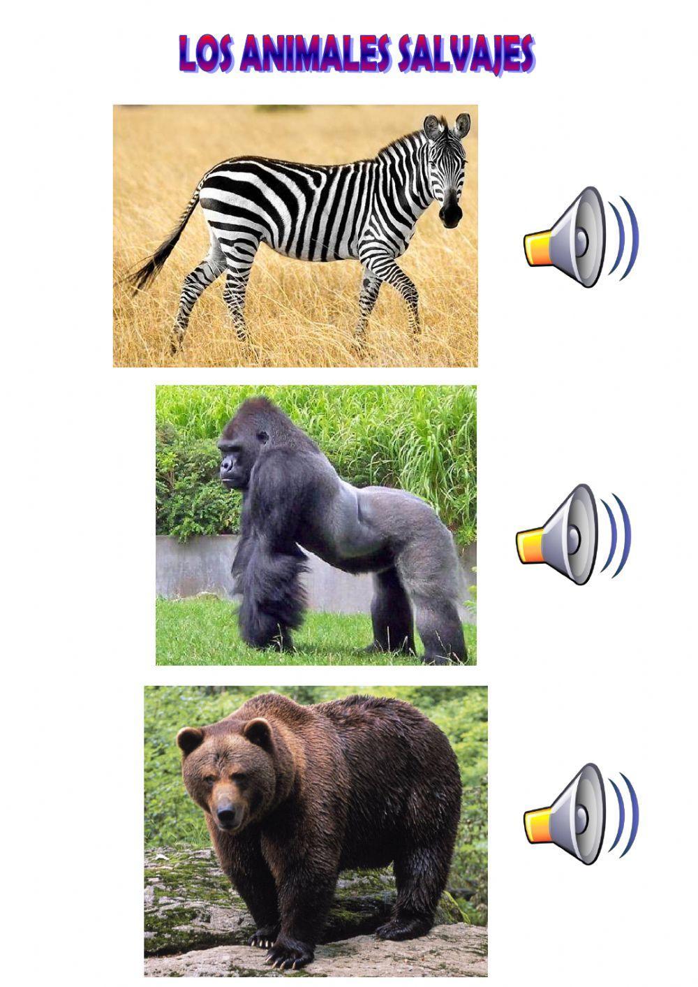 Los animales salvajes