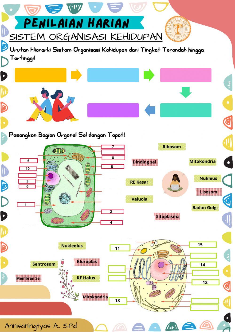 Ulangan Sistem Organisasi Kehidupan