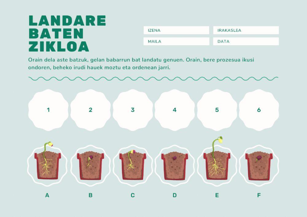 Landare baten zikloa