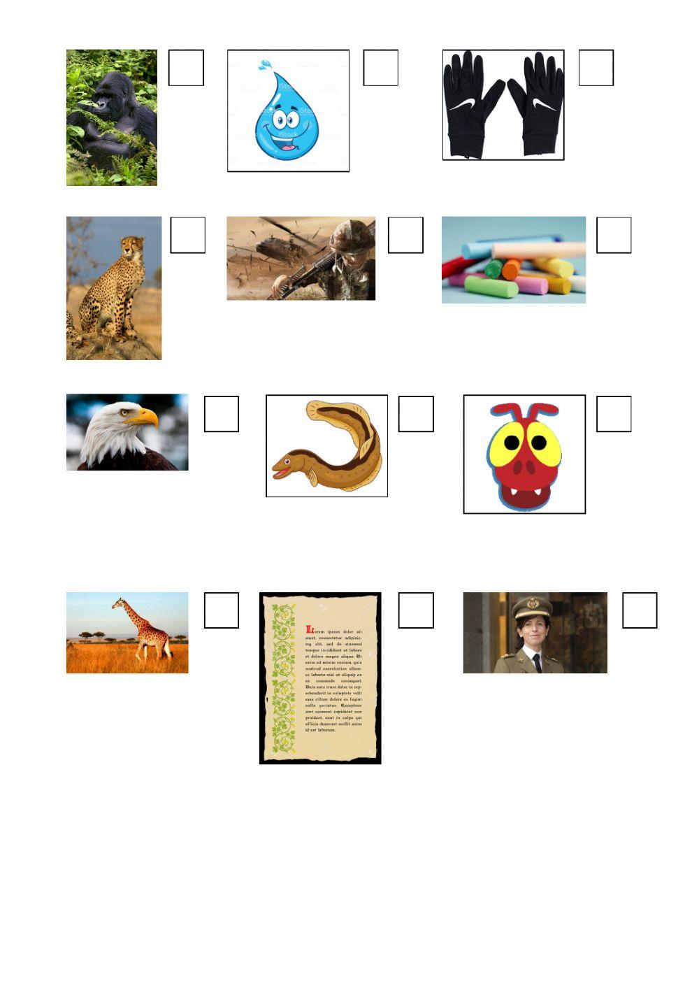 Paraules amb g i codas qr