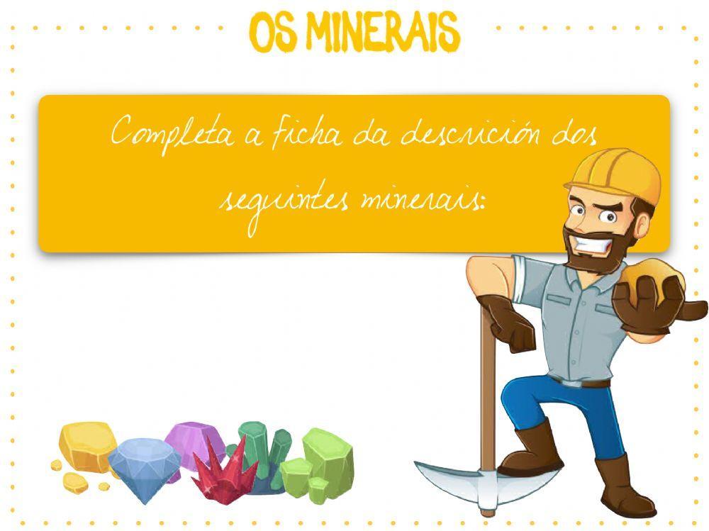 Descrición dos animais