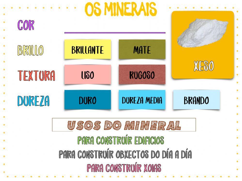 Descrición dos animais