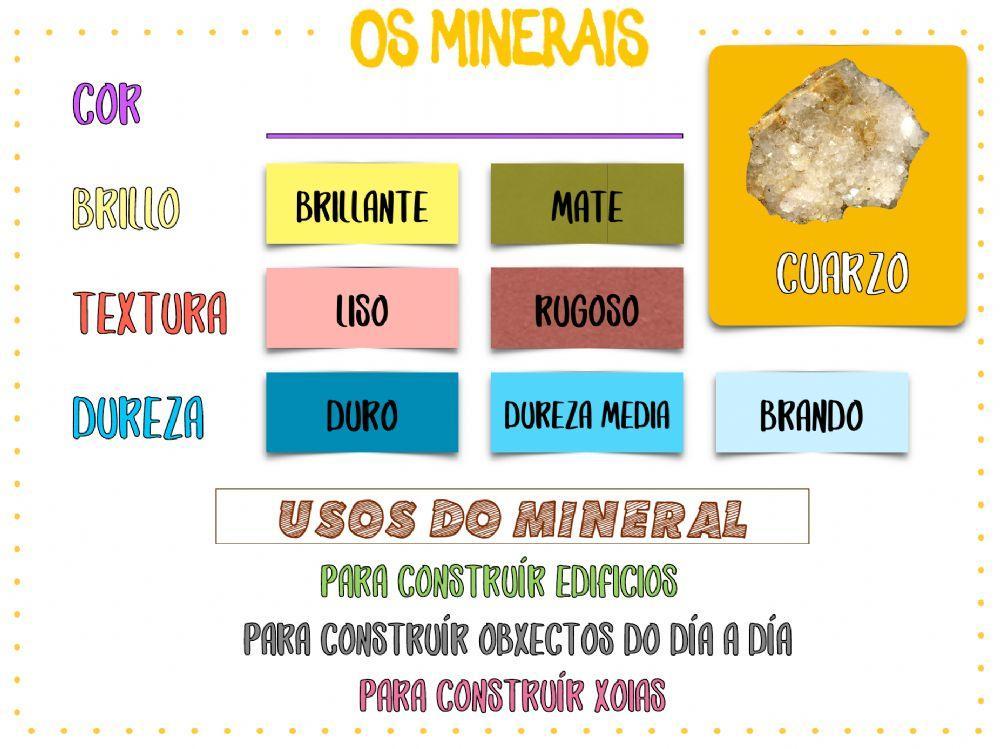 Descrición dos animais