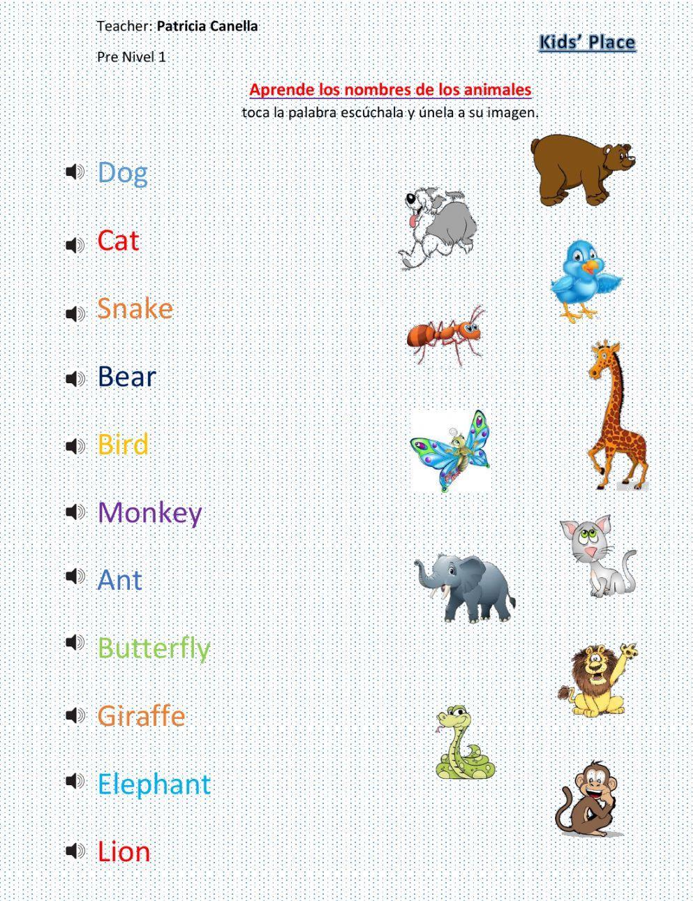 Animales en ingles