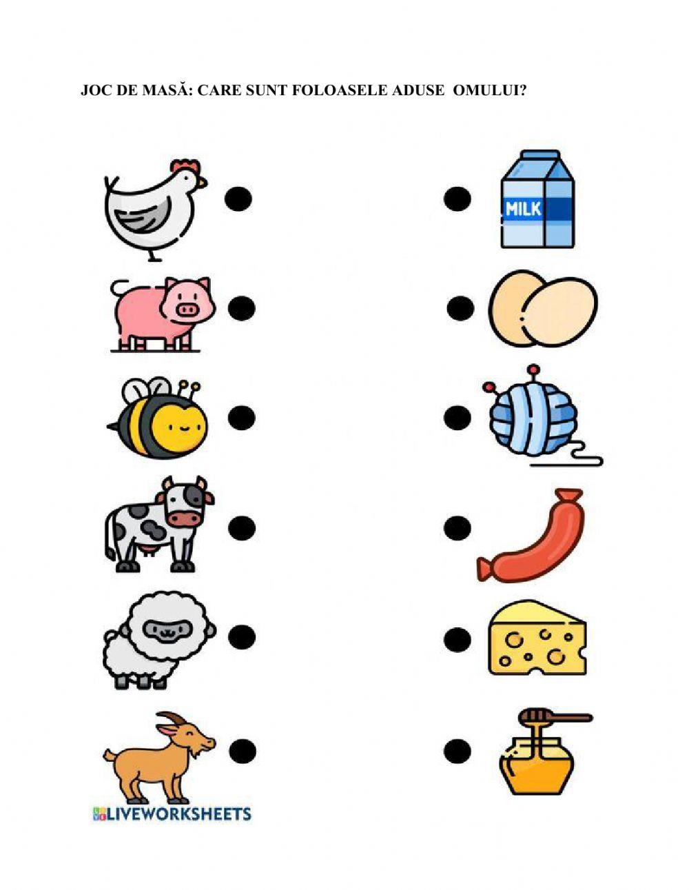 Animale domestice şi sălbatice