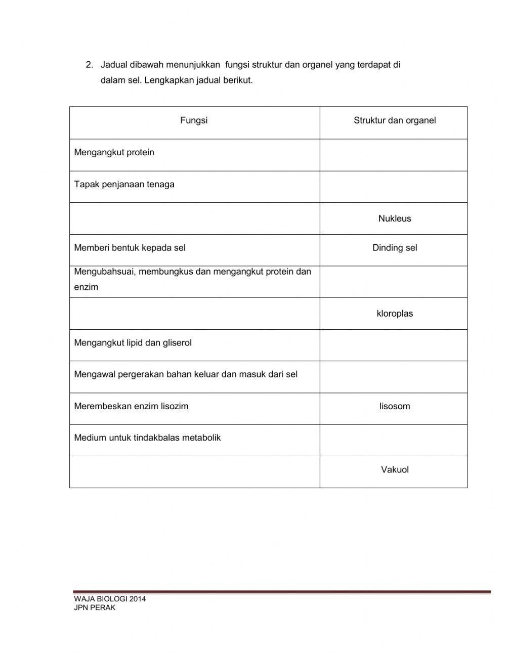 BAB 2:Biologi sel dan Organisasi Sel