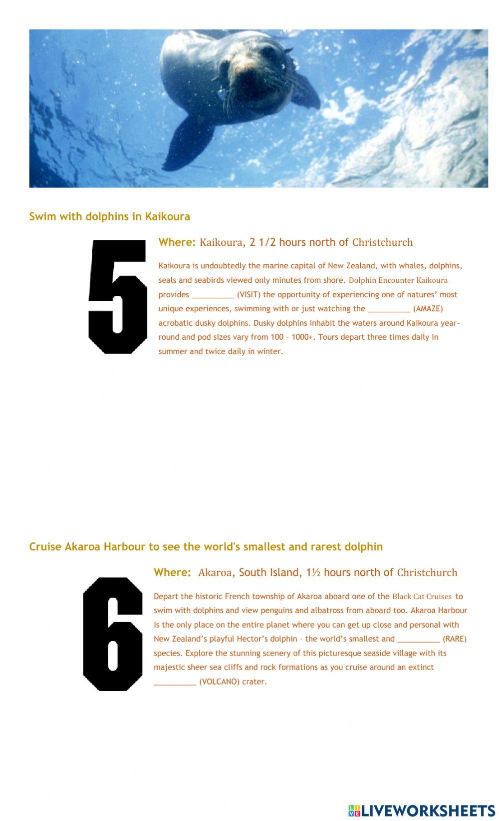 Popular Wildlife Experiences in New Zealand