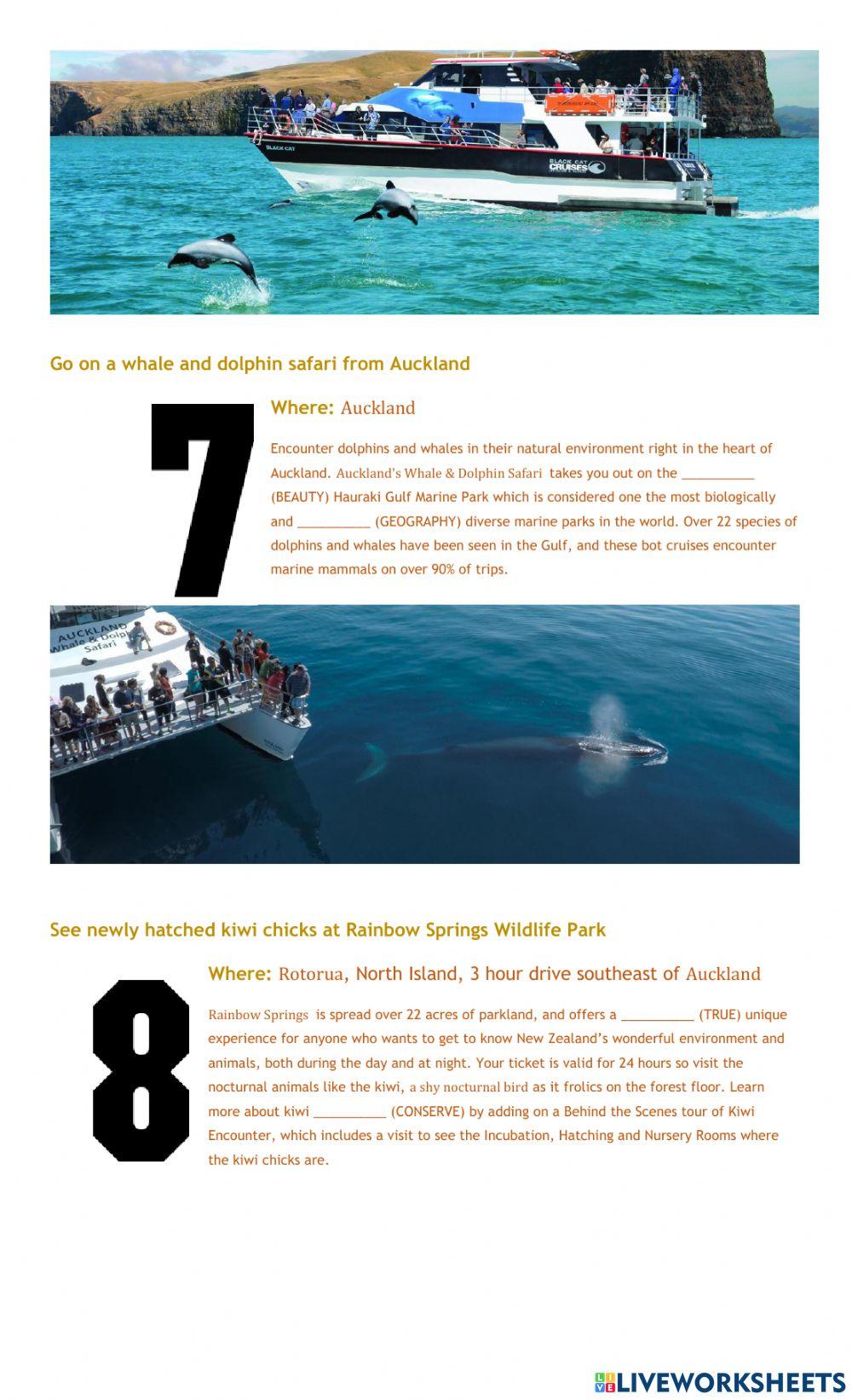 Popular Wildlife Experiences in New Zealand