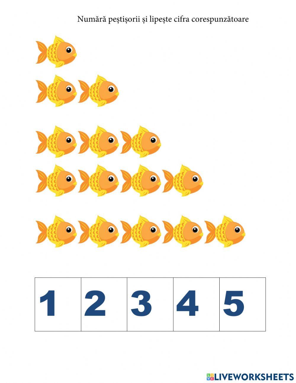 Activitate matematică Activitate matematică