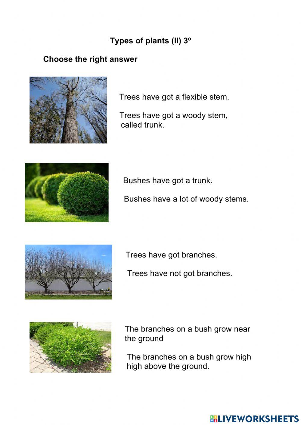 Types of plants