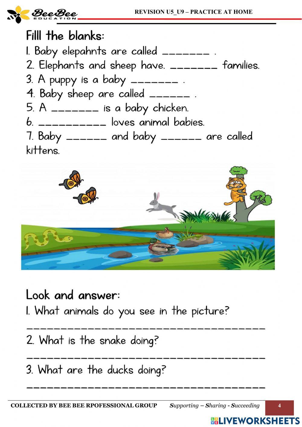 Revision U5 - U9 OW1