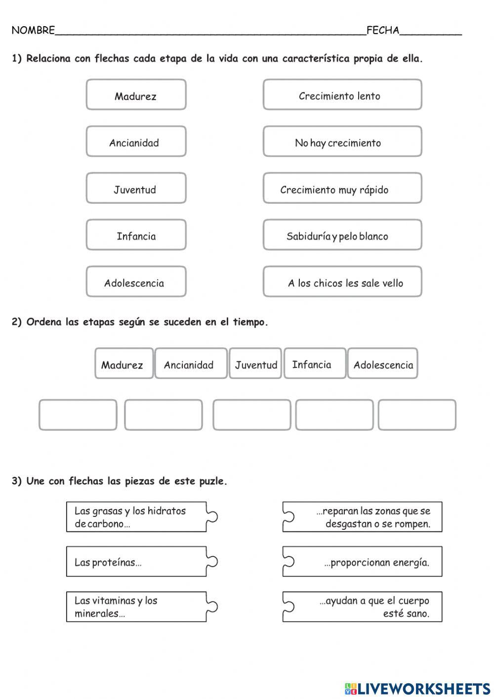 Evaluación de la unidad 3 de natu
